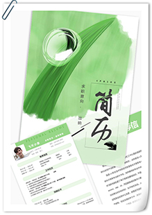 清新出纳行业简历模板