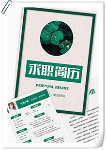电信网络工作简历模板