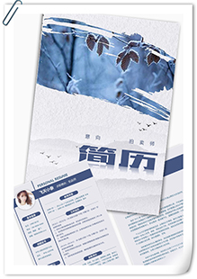 素雅拍卖师简历模板