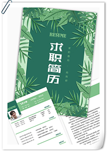 边框药剂师简历模板