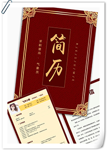 欧版边框简历模板