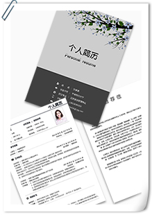 培训讲师套装简历模板