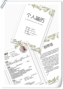 清新树枝条纹简历模板