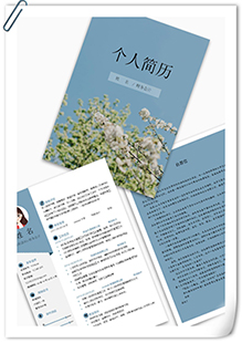 小清新清爽风简历模板