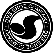 DVS shoe company