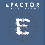 E factor