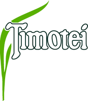 Timotei leaf