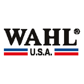 Wahl usa