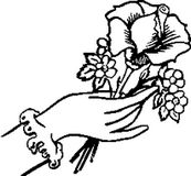 矢量图鲜花