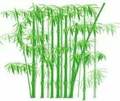 竹林矢量图下载
