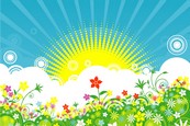 封面花纹设计矢量图下载
