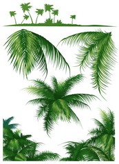 椰子树矢量图下载