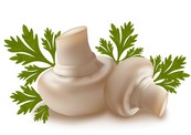 西红柿蔬菜矢量图下载