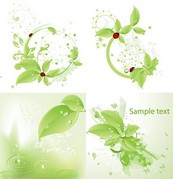 4款绿叶瓢虫水珠矢量图