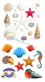 可爱卡通贝壳矢量图