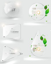透明植物造型矢量图