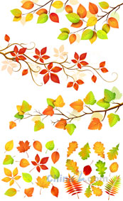 秋季树叶矢量设计素材