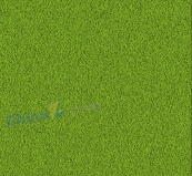 绿色草甸矢量背景图