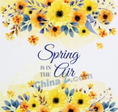 水彩绘春季黄色花卉矢量素材