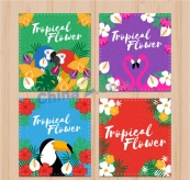 彩色热带花鸟卡片矢量素材