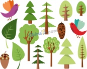 观赏树木系列套图