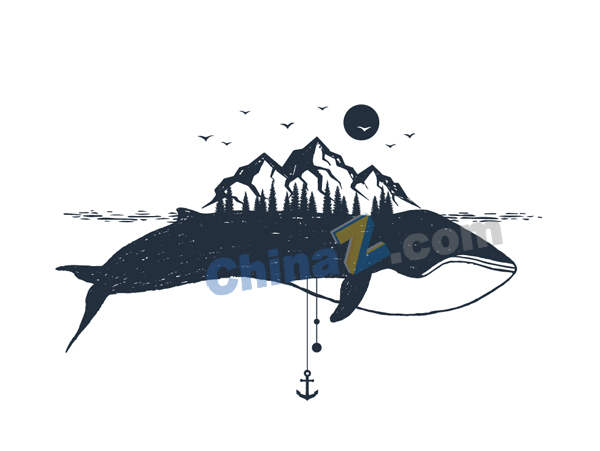 手绘鲸鱼图案插画设计矢量下载