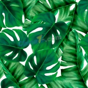 水彩绿色热带树叶矢量图