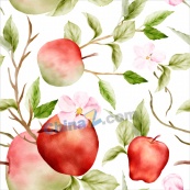 水彩苹果树矢量插图背景
