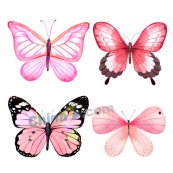 粉色水彩蝴蝶矢量素材