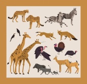 古典非洲野生动物合集矢量