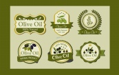 绿色橄榄油标签合集矢量模板