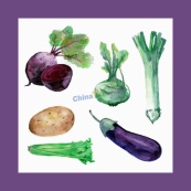 水彩手绘素描蔬菜合集矢量