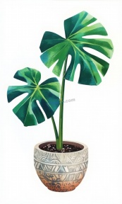 龟背竹盆栽植物矢量素材