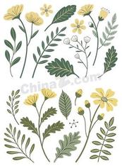 春季黄色花卉植物合集矢量素材