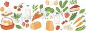 清新果蔬早餐食材合集矢量素材