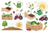 生态农场园艺耕种合集矢量素材