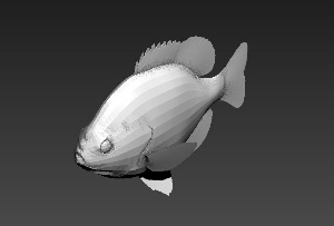 鱼三维模型设计
