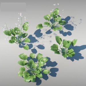 绿色植物3D模型