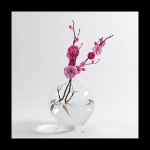3D玻璃花瓶模型