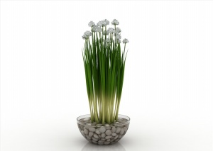 绿色植物3D模型效果图