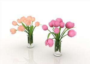 郁金香花卉3D模型