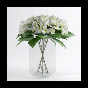 白色花卉3D植物模型