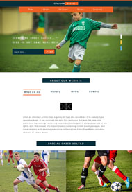 自由足球官网网站模板