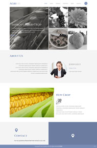 玉米种植研究院HTML5模板