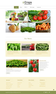 水果蔬菜html5清爽模板