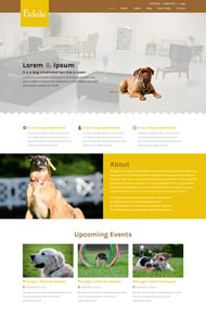 宠物狗乐园html模板
