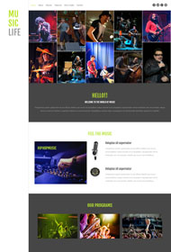音乐生活娱乐网站模板