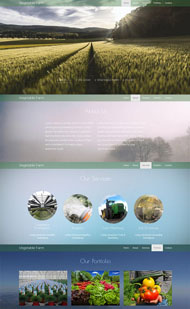 HTML5蔬菜农场单页模板下载