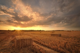 夕阳下的稻田PPT背景图片