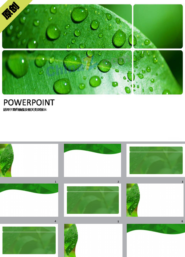 清新淡雅的绿叶PPT模板